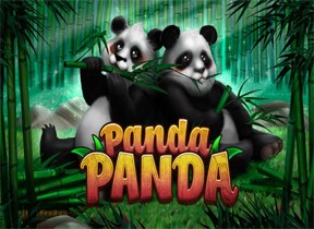 Panda Panda