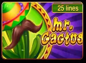 Mr Cactus