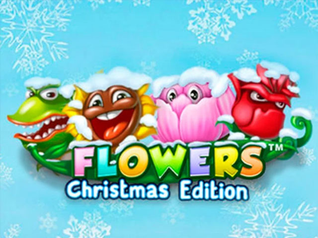 Flowers Christmas